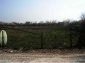 Near the land